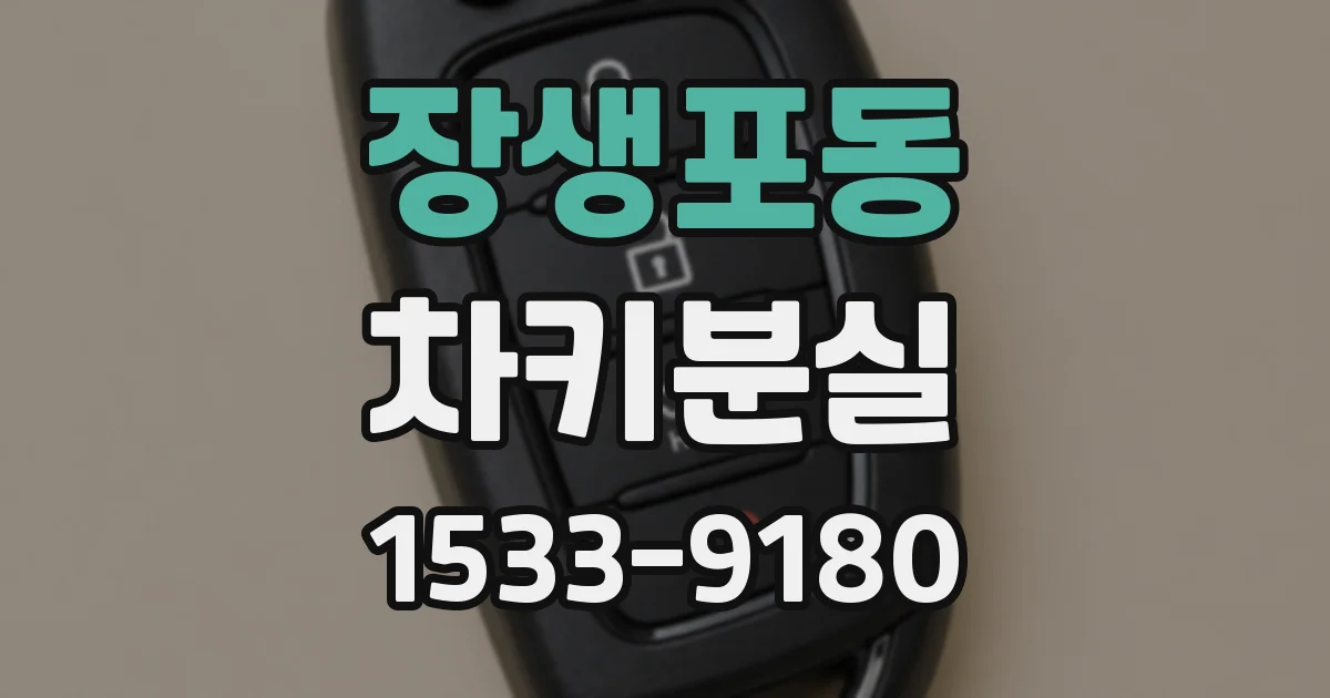 장생포동 차키분실
