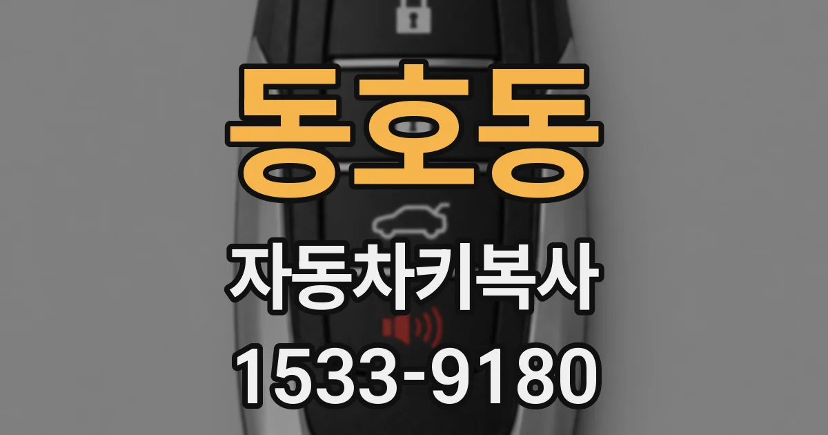 동호동 자동차키복사