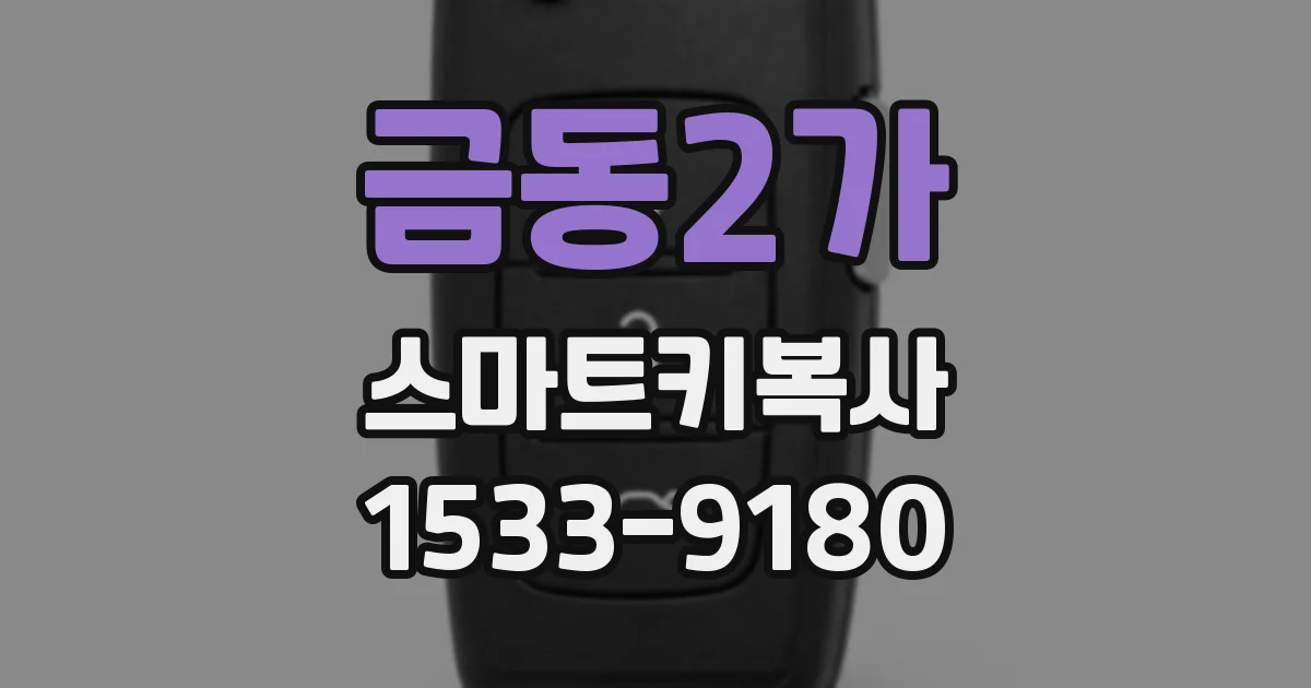 금동2가 스마트키복사