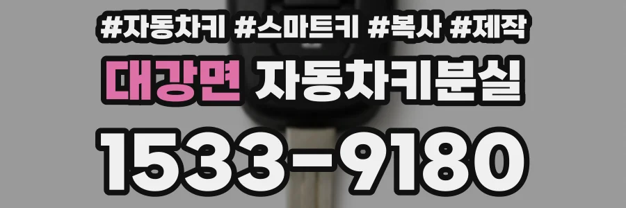 대강면 자동차키분실