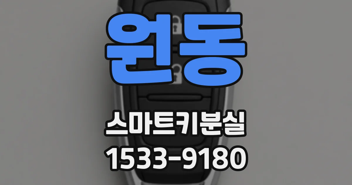원동 스마트키분실