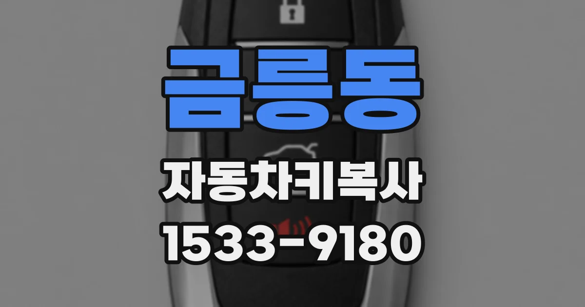 금릉동 자동차키복사