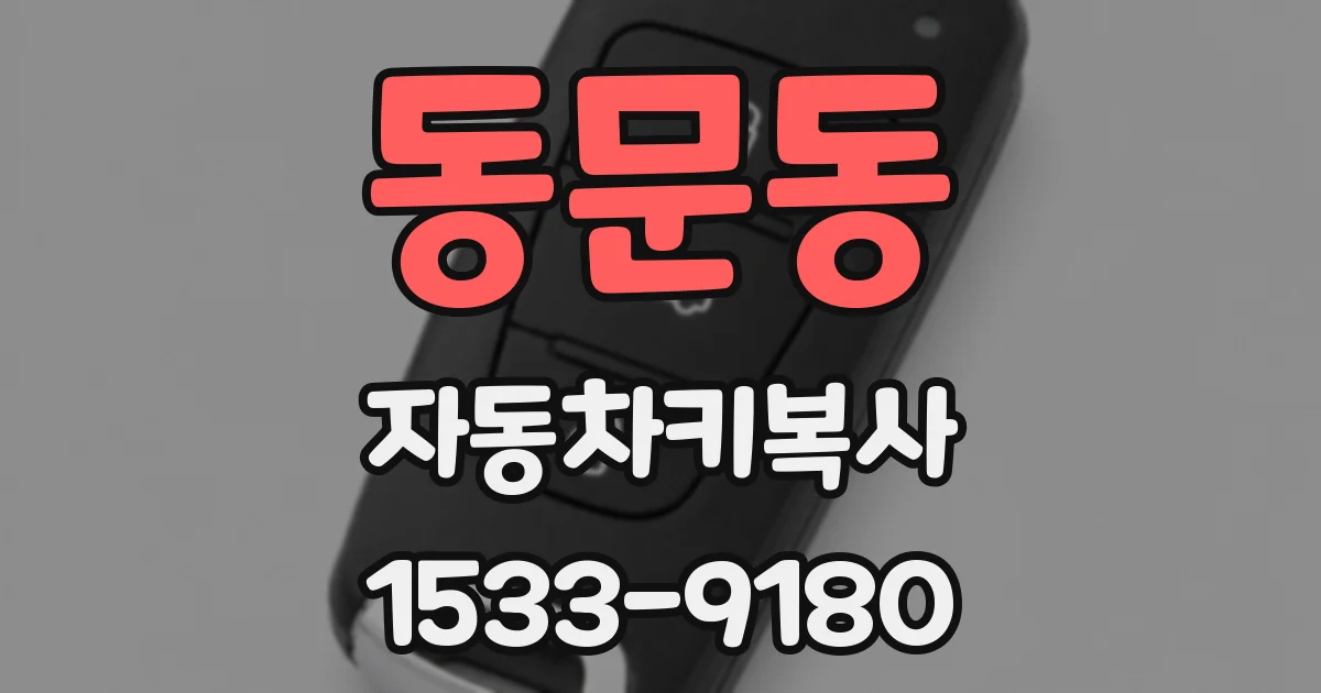 동문동 자동차키복사