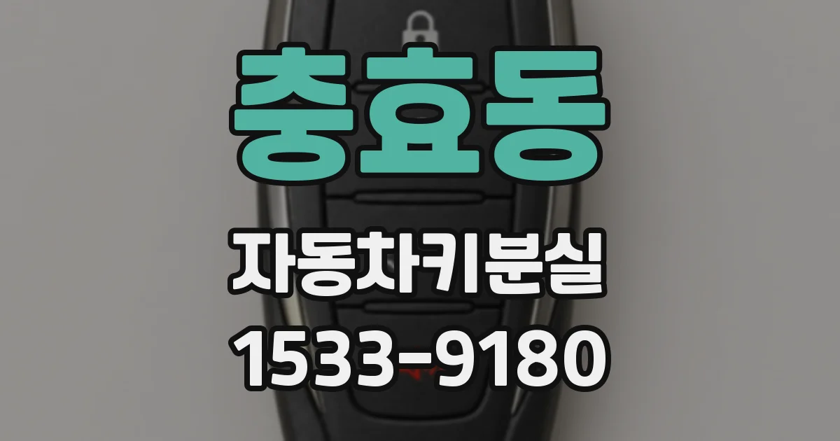 충효동 자동차키분실