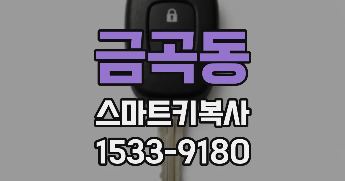 금곡동 스마트키복사