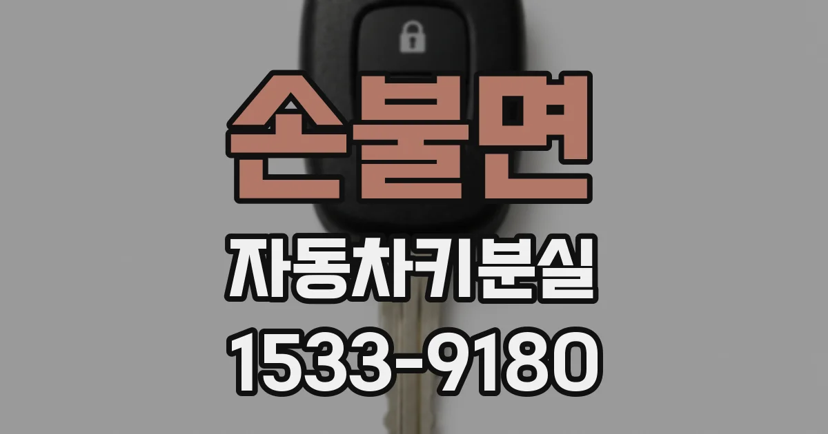 손불면 자동차키분실