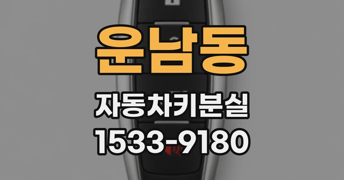 운남동 자동차키분실