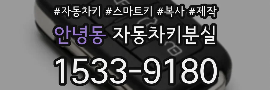안녕동 자동차키분실
