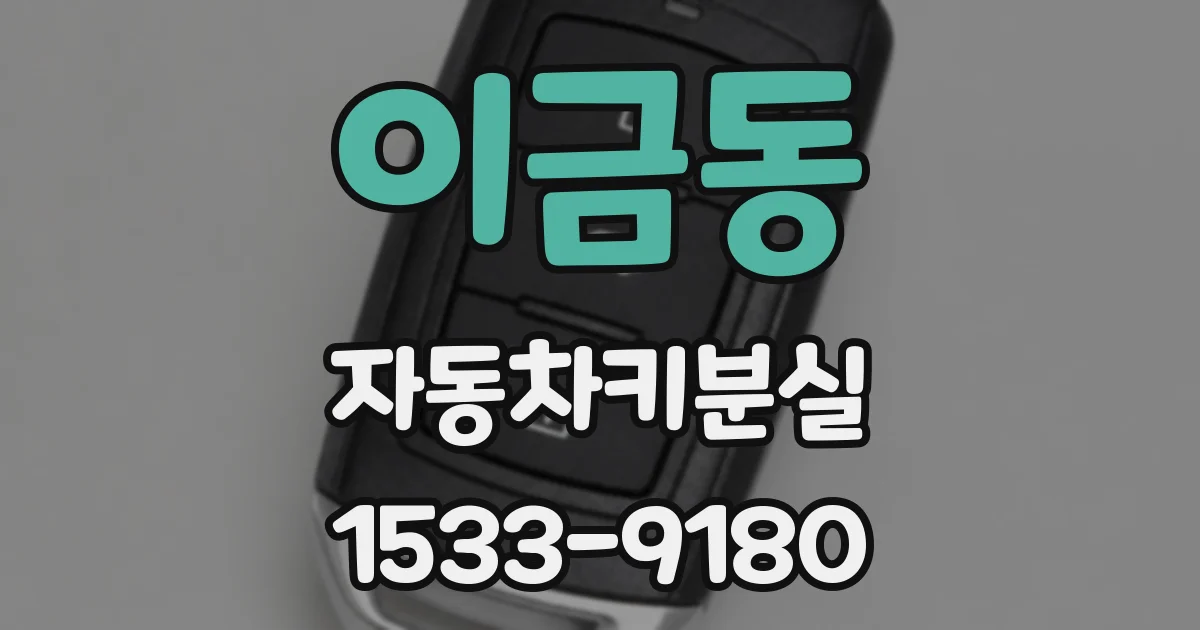 이금동 자동차키분실