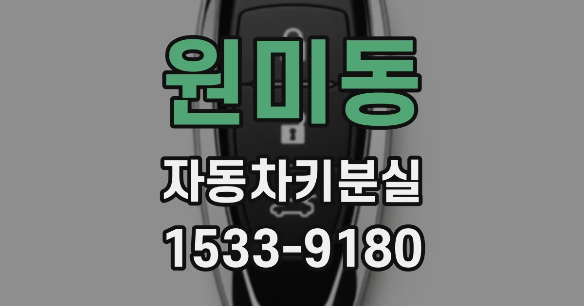 원미동 자동차키분실
