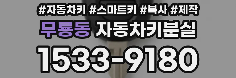 무룡동 자동차키분실