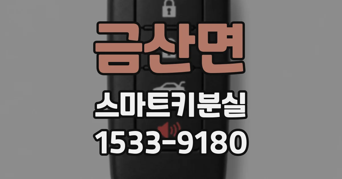 금산면 스마트키분실
