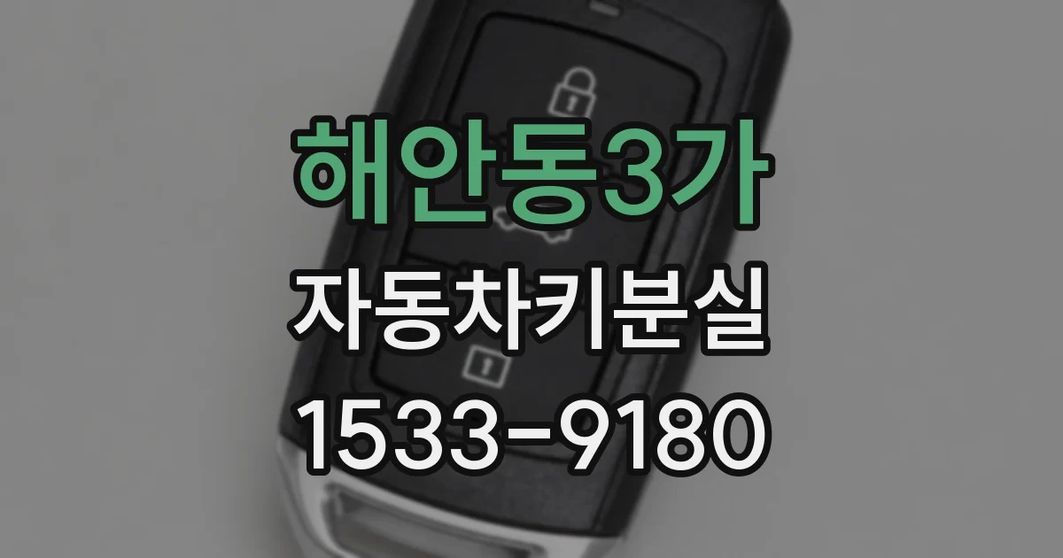 해안동3가 자동차키분실