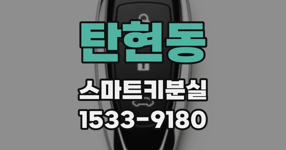 탄현동 스마트키분실