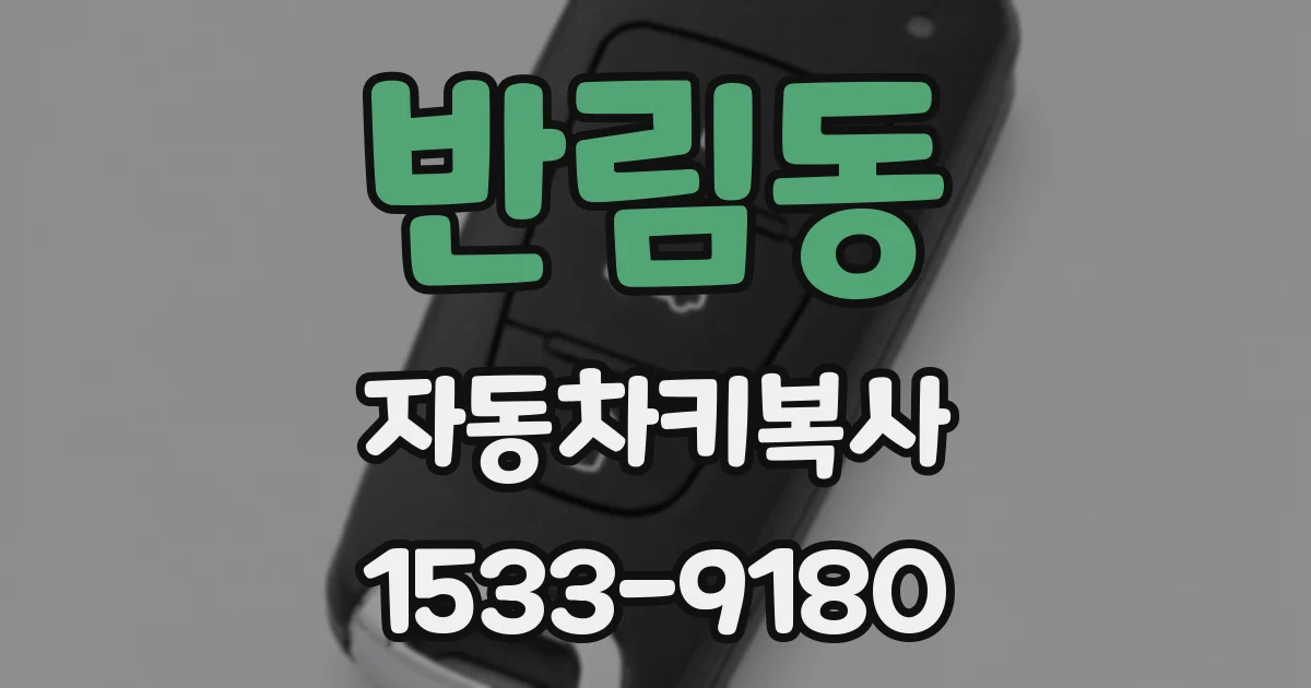 반림동 자동차키복사