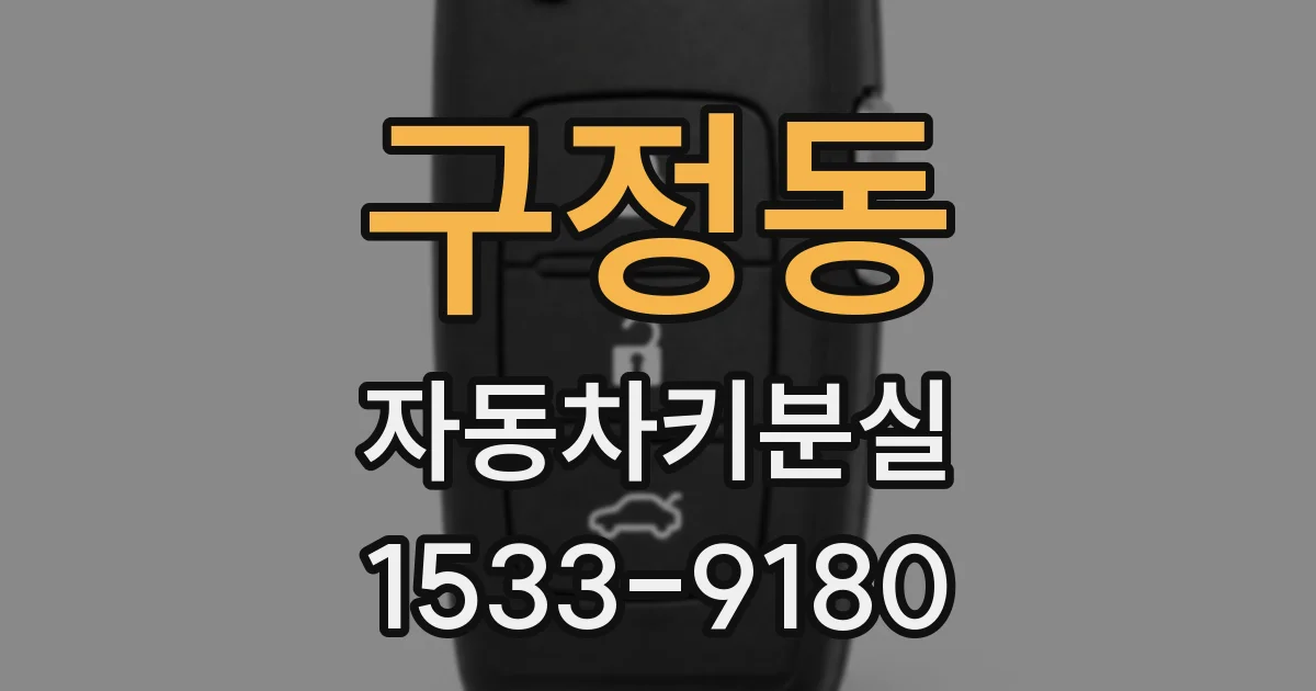 구정동 자동차키분실