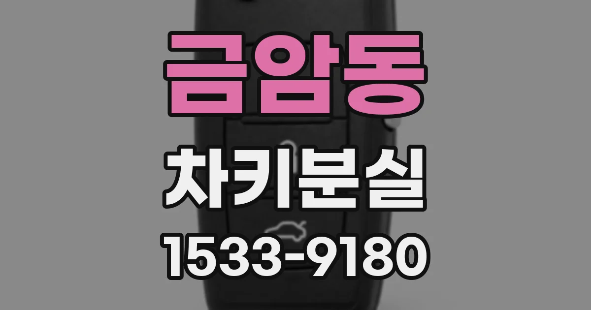 금암동 차키분실