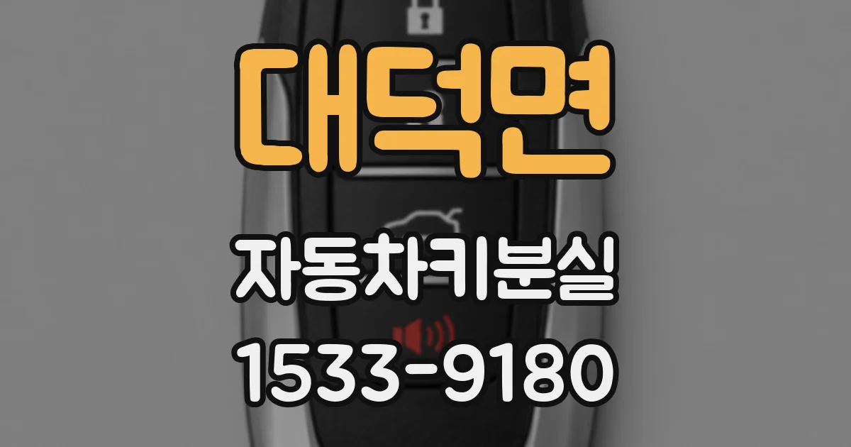 대덕면 자동차키분실