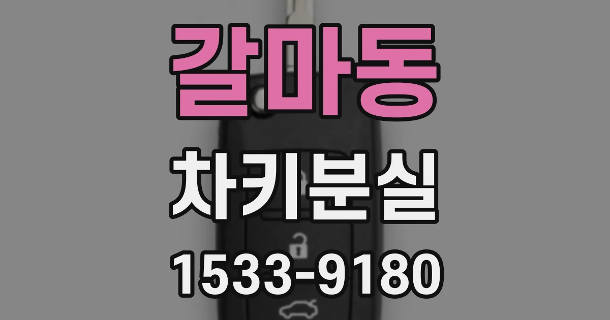갈마동 차키분실