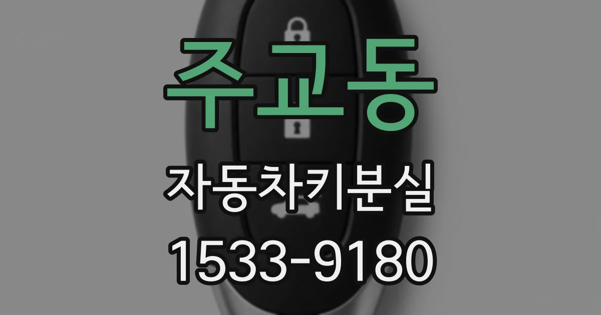 주교동 자동차키분실