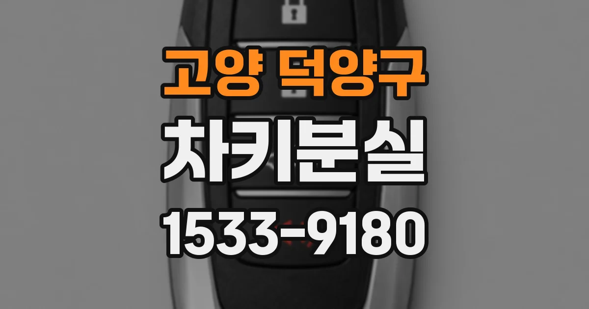 고양 덕양구 차키분실