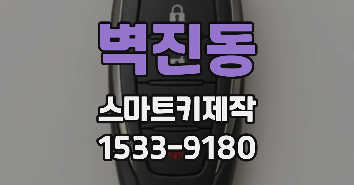 벽진동 스마트키제작