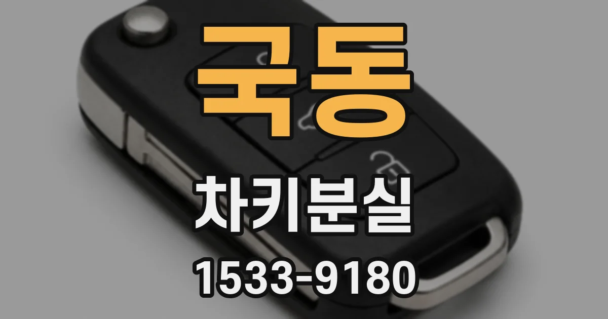 국동 차키분실