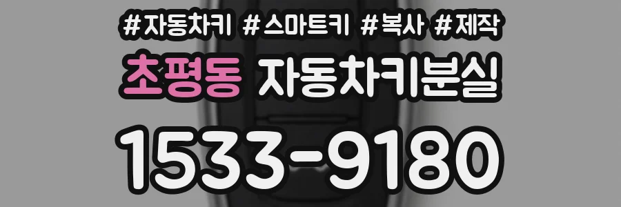 초평동 자동차키분실