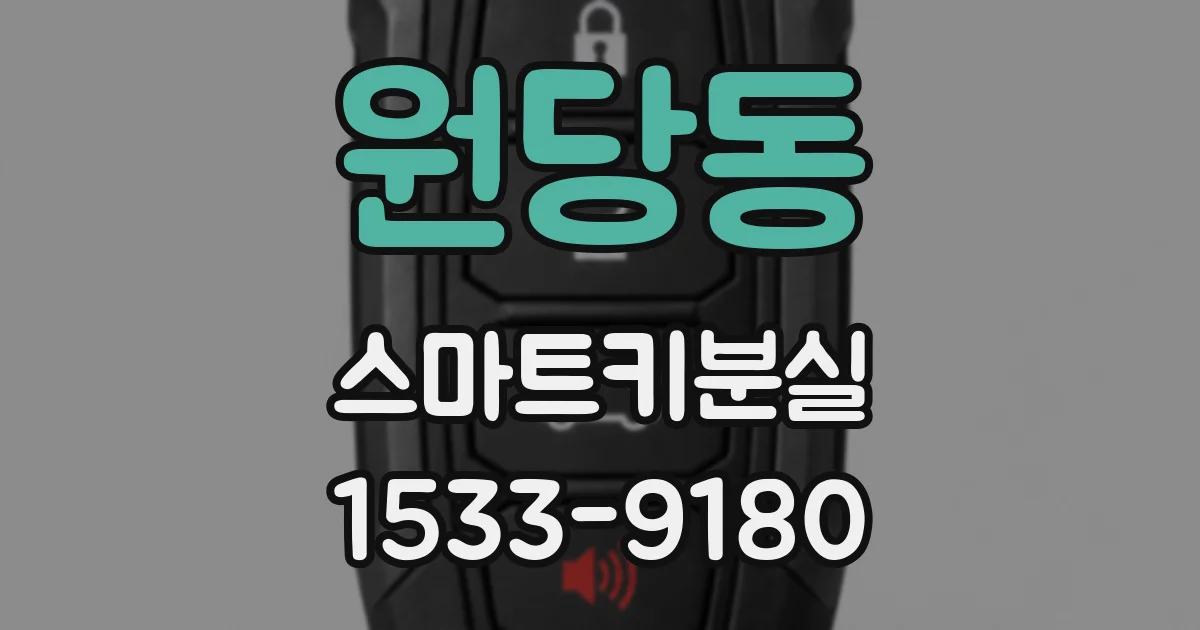 원당동 스마트키분실