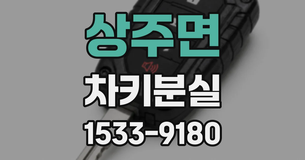상주면 차키분실