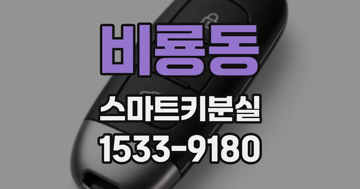 비룡동 스마트키분실