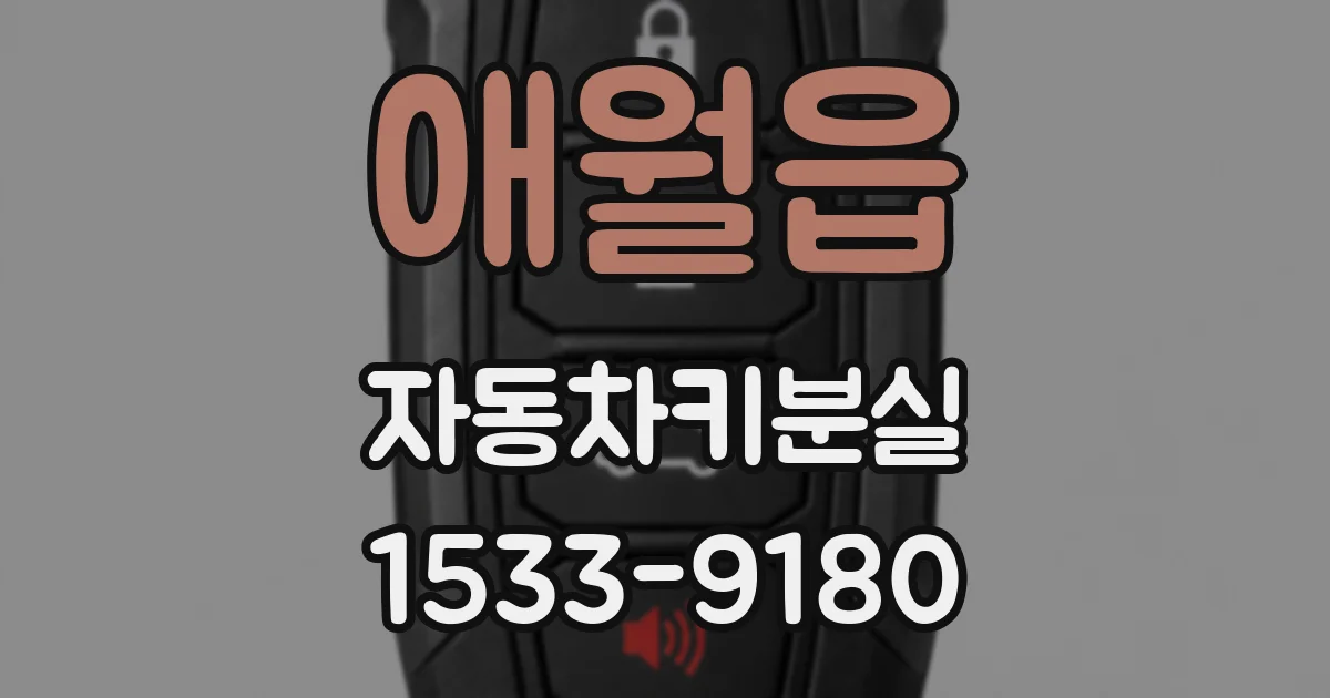 애월읍 자동차키분실