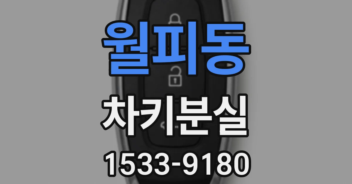 월피동 차키분실