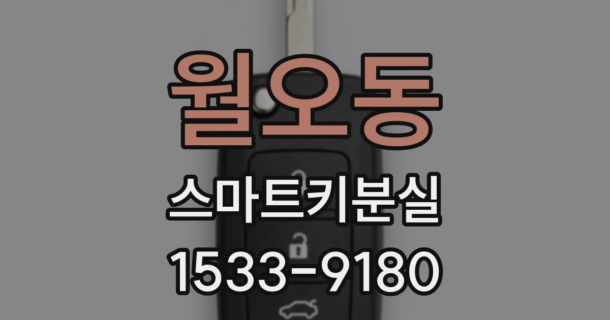 월오동 스마트키분실