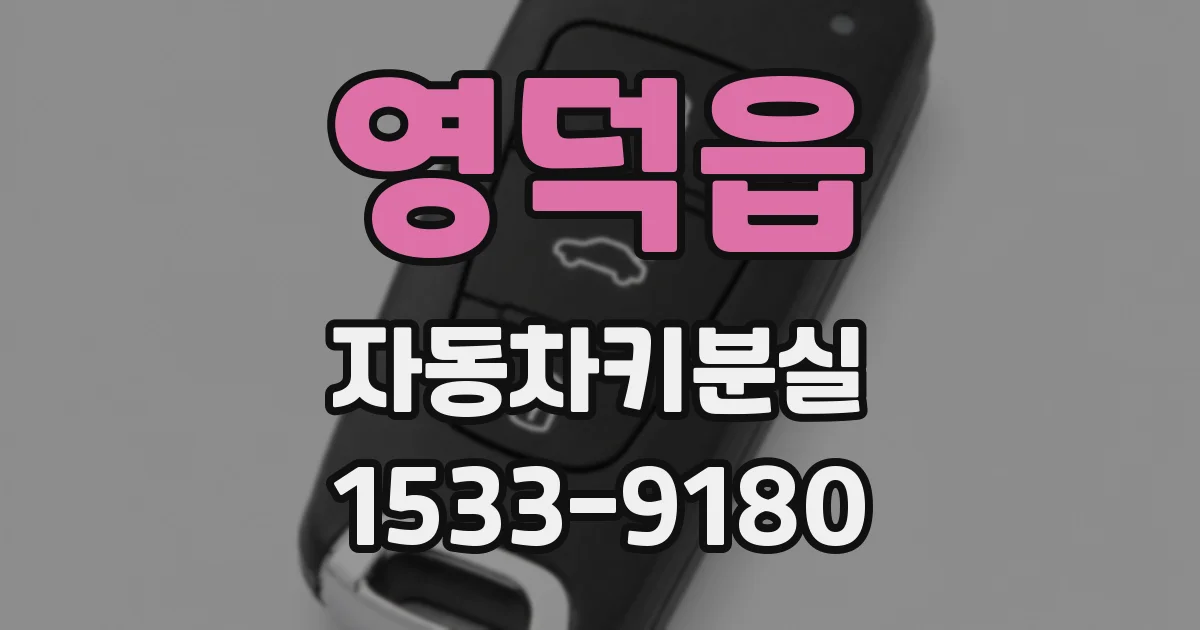 영덕읍 자동차키분실