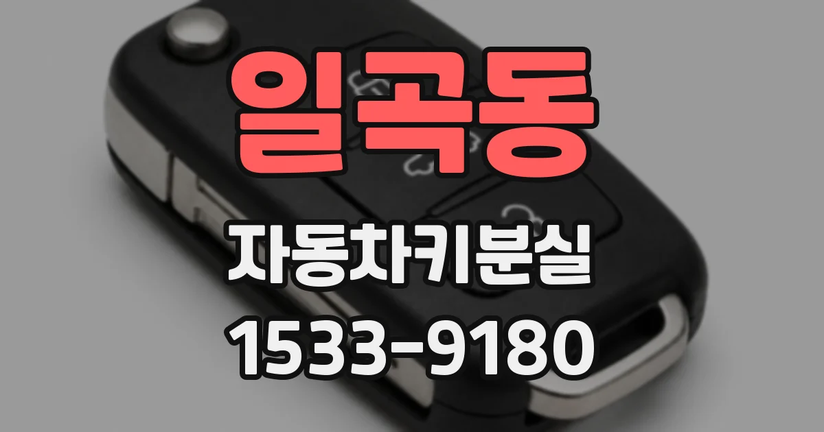 일곡동 자동차키분실