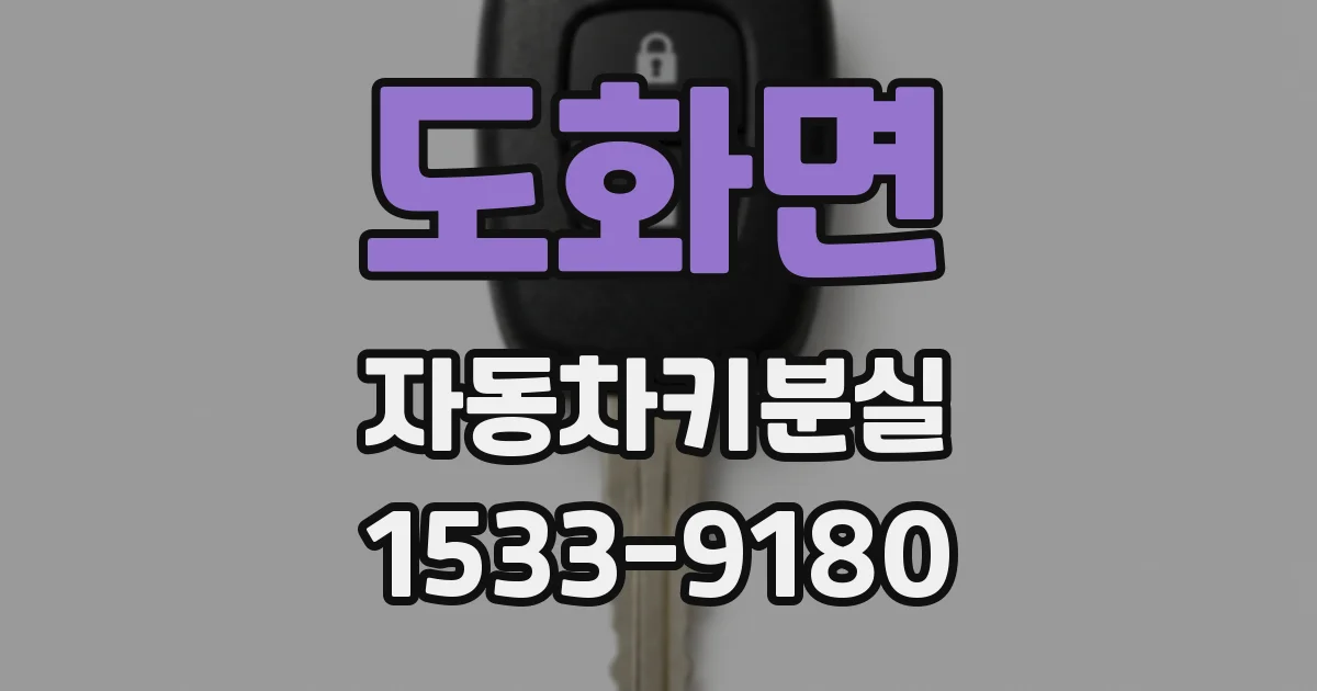 도화면 자동차키분실