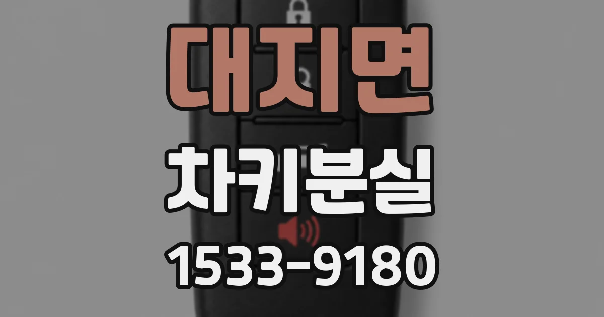 대지면 차키분실