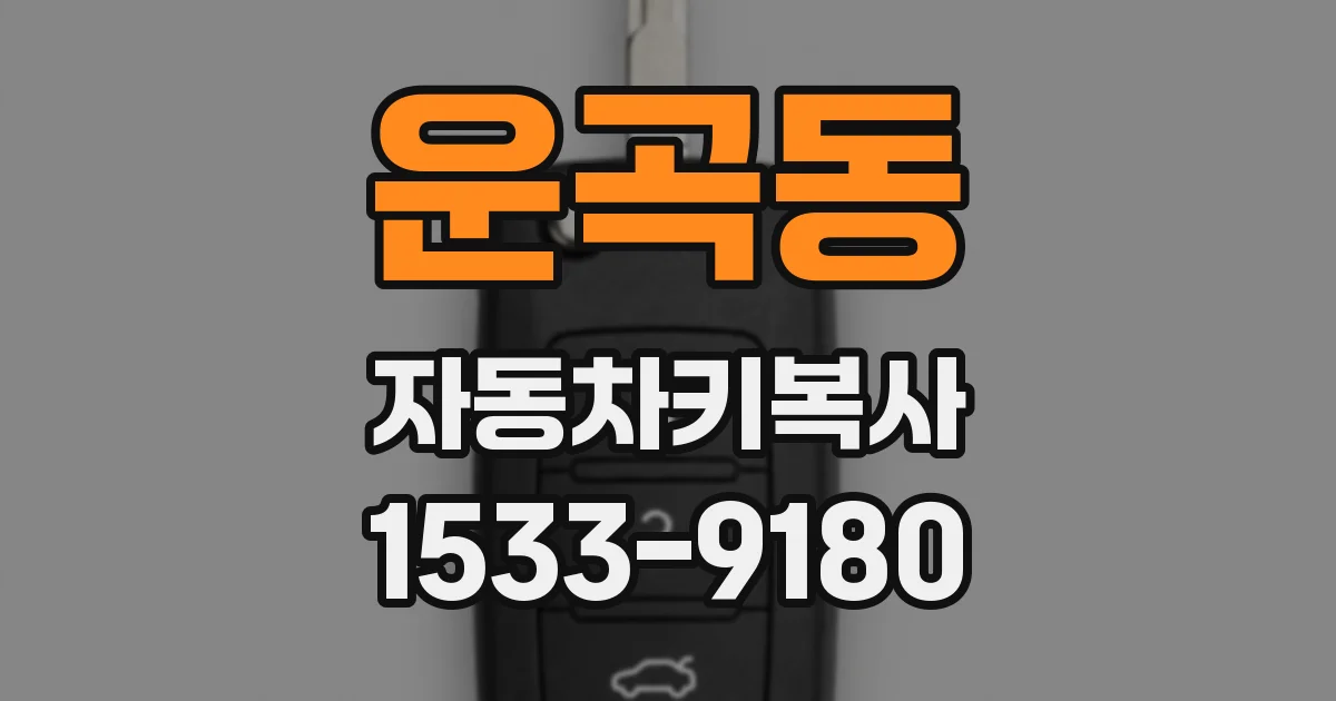 운곡동 자동차키복사