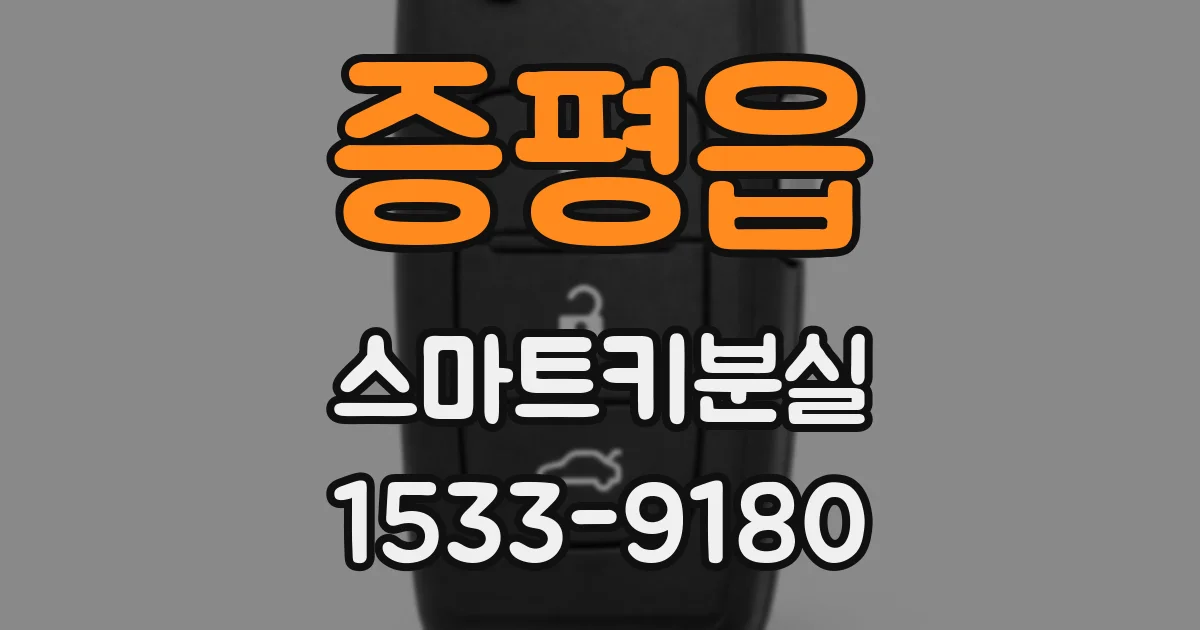 증평읍 스마트키분실