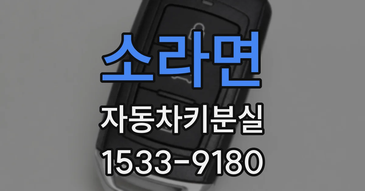소라면 자동차키분실