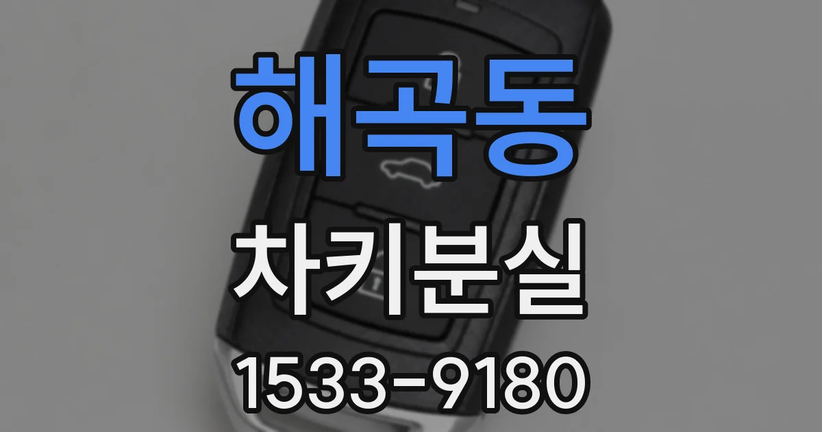 해곡동 차키분실