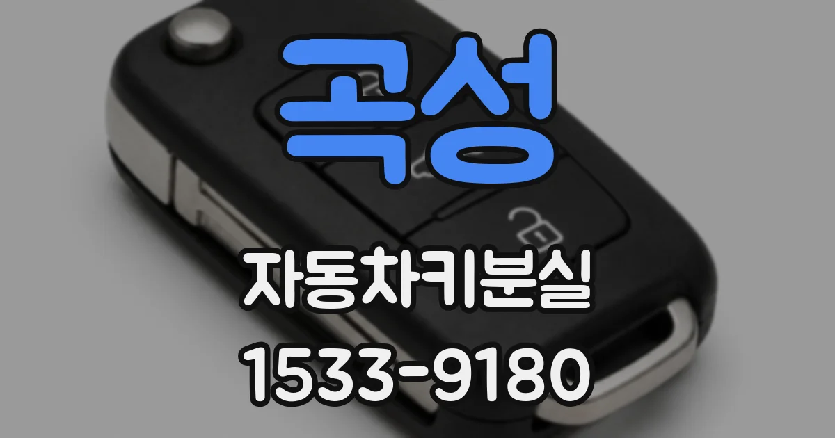곡성 자동차키분실