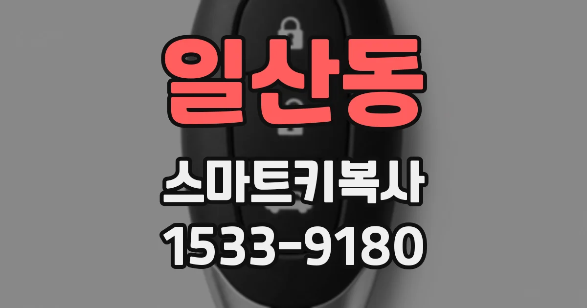 일산동 스마트키복사