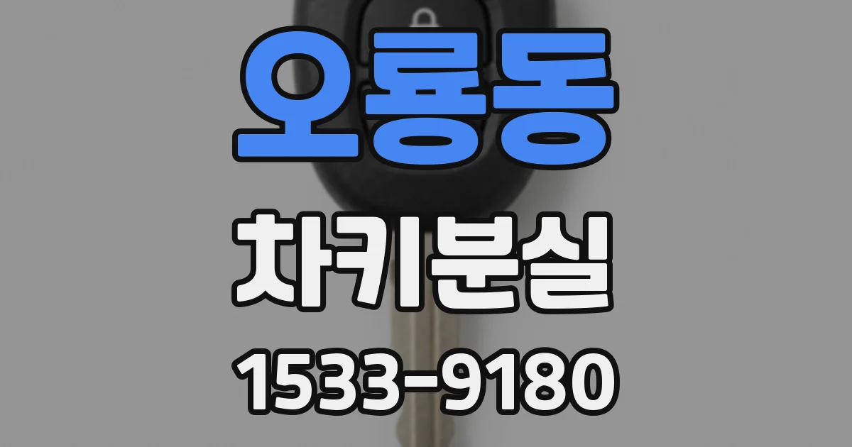 오룡동 차키분실