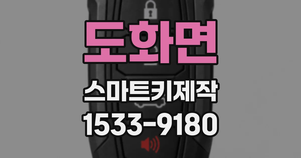 도화면 스마트키제작