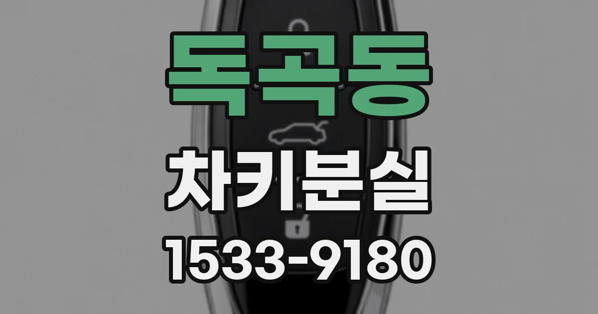 독곡동 차키분실