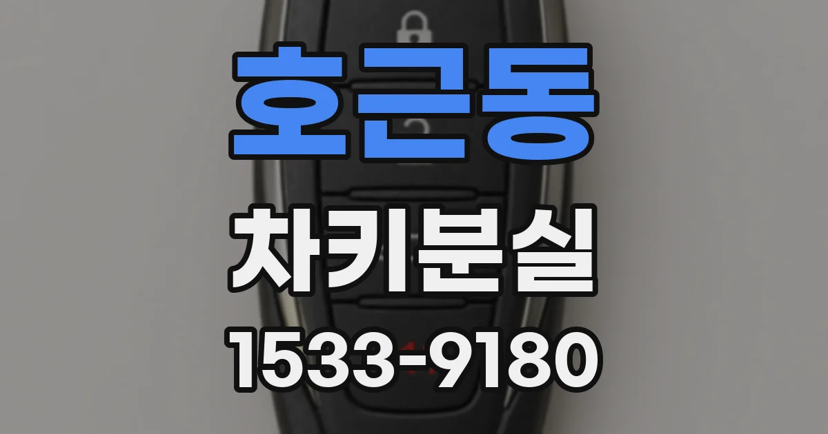 호근동 차키분실