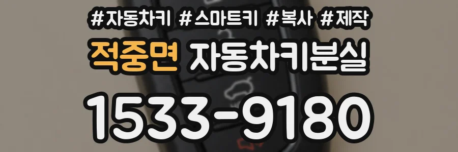 적중면 자동차키분실