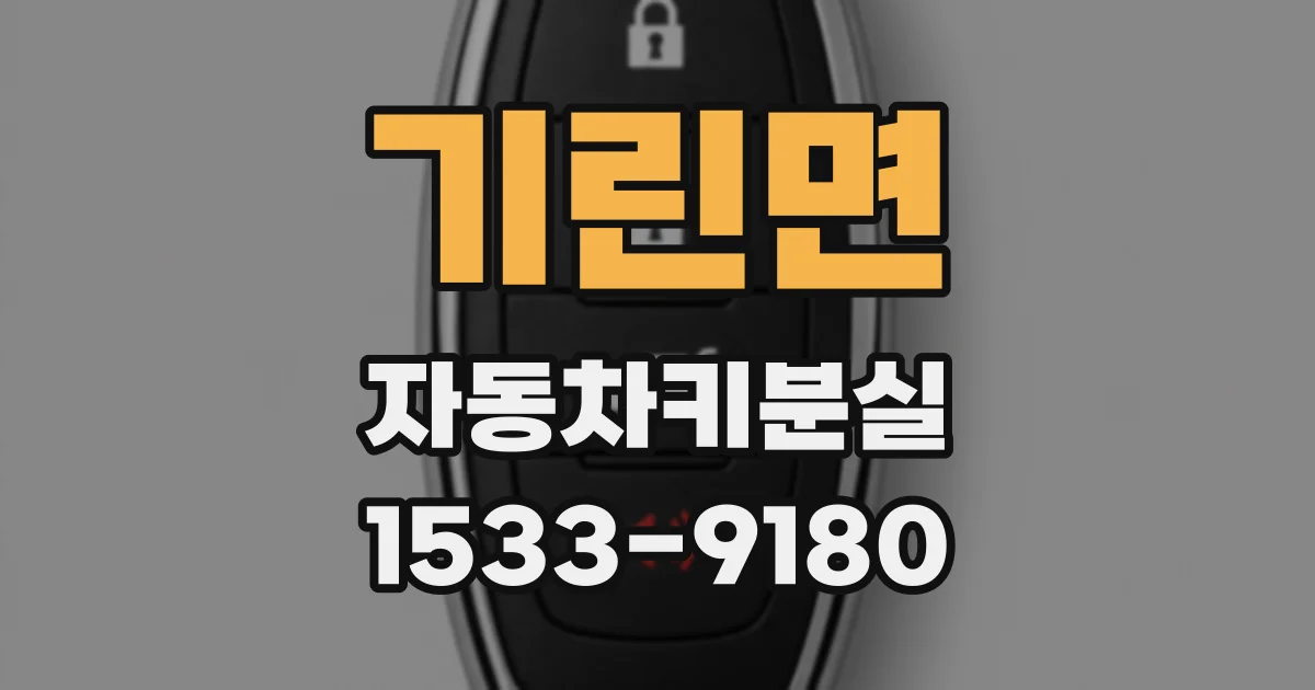 기린면 자동차키분실